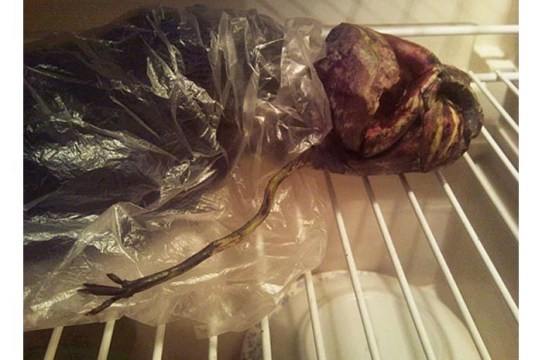 230711-buzdolabindakiuzayli3