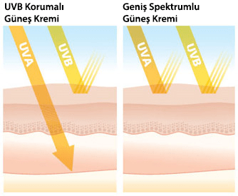 her güneş kremi UVA ışınlarına karşı koruyucu değil. Alırken mutlaka kontrol edin.