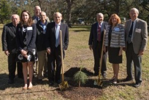 0215_moontree-b-2fx17q5-310x208