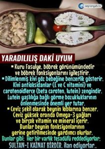 8443122a-1d25-4513-a144-99b82d1d4ce2