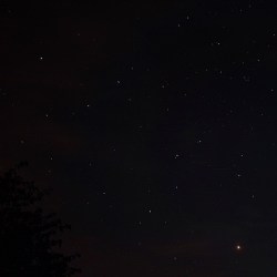 "Gördüm gördüm, bir aslan gördüm!" (Flickr, 9uid0)